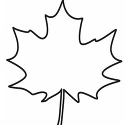 Champion Maple Leaf Template Canada Drawing Easy Frame Draw Shape