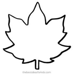 Matchless Free Printable Maple Leaf Patterns Large Medium Small Templates Fall Leaves Drawing Template Easy