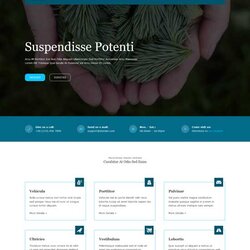 Great Best Free Website Templates Template