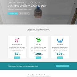 High Quality Best Free Website Templates Template