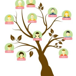 Fine Free Family Tree Templates Word Excel