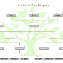 High Quality Editable Family Tree Templates Free Template