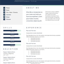 Exceptional Template Resume Modern Download Gratis Microsoft Word Free Templates New