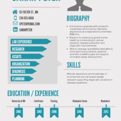 Resume Template Templates Examples Simple Visual Sample Key Format Builder Business