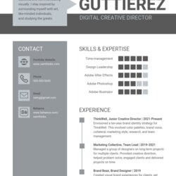 Great Resume Templates Template Professional Gray Grey Color Use Resumes