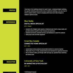 Resume Templates Template Neon Color Example Graphic Creative Thumbnails Resumes Certainly Stands Scheme Pay