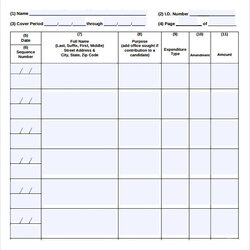 Free Sample Treasurer Reports In Ms Word Report Simple Template Templates Download