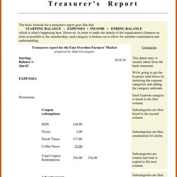Supreme Treasurer Report Template Word Printable Searches Non Profit Sample Treasurers Pertaining To