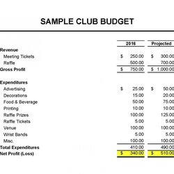 Superlative Treasurer Report Template Club Spreadsheet Accounting Simple Accounts Excel Profit Non Social
