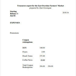 Outstanding Free Sample Treasurer Reports In Ms Word Report Template Templates Business