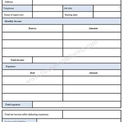 Smashing Financial Statement Form Template Forms Sample