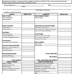 Marvelous Personal Financial Statement Templates Forms Template Word Examples Kb