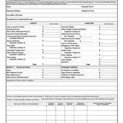 Champion Personal Financial Statement Templates Forms Template Examples Kb