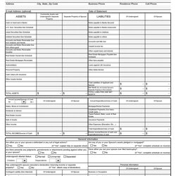 Capital Personal Financial Statement Templates Forms Template Lab