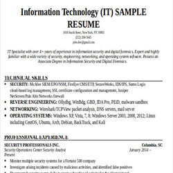 It Resume Templates Doc Professional Template Example