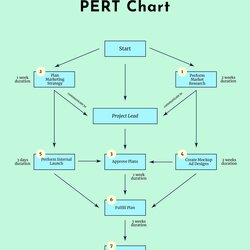 Outstanding Free Home Build Pert Chart Illustrator Word Template Product Launch