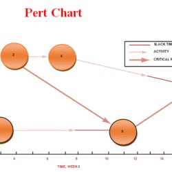 Pert Chart Template Examples Free Download Word Example