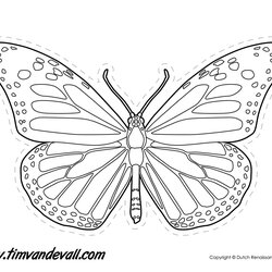 Marvelous Monarch Butterfly Outline Drawing Line Printable Templates Stencils Shapes Drawings Shape Kids Use