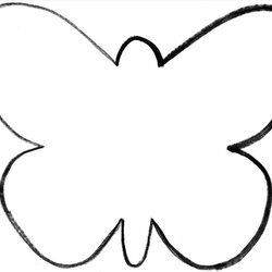 Excellent Butterfly Silhouette Template At Free Download Outline Cut Coloring Printable Templates Cutout