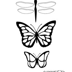 Tremendous Winter Sunday Easy Simple Butterfly Outline Template The