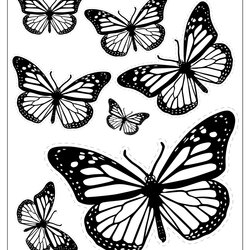 Preeminent Butterfly Templates Drawing Printable Template Stencil Shapes Monarch Outline Cutout Butterflies