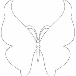 Splendid Free Butterfly Template Download Images Beautiful Library Templates
