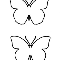 Download Butterfly Template Drawing Outline Butterflies