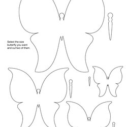 Superb Printable Cut Out Butterfly Templates Template