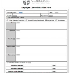 Superb Plan Of Correction Template Free Printable Templates Employee Corrective Action Form