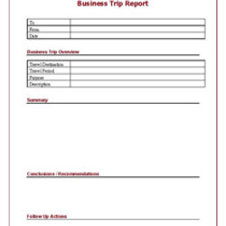 The Highest Quality Trip Report Template Business Sample Travel Word Tips Summary Field Layout Templates
