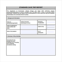 Wizard Free Sample Trip Reports In Ms Word Google Docs Apple Pages Report Template Business Example