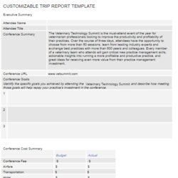 Superior Trip Report Template Free Word Templates Business
