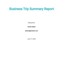 Fine Business Trip Report Template Summary