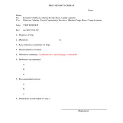 Trip Report Template Printable Forms Format