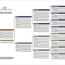 Eminent Family Tree Chart Template Word Excel Format Download Templates Example Free