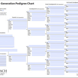 Super Quiz How Much Do You Know About Free Form Information Pedigree Generation Genealogy Sensational