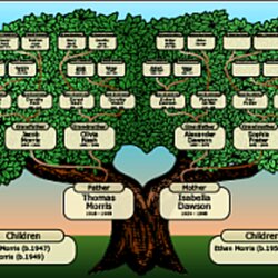 High Quality Genealogy Free Family Tree Charts And Forms Ancestors Traced