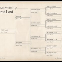 Admirable Family Tree Template Free Download Printable Templates Genealogy Chart Charts Forms History