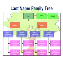 Exceptional Family Tree Template Printable Forms Chart Excel Spreadsheet Templates Microsoft Office Edit