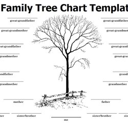 Sublime Family Tree Chart Templates Free Word Excel Formats Template Downloads Kb Uploaded January File Size