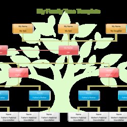 Wonderful My Family Tree Template For Kids
