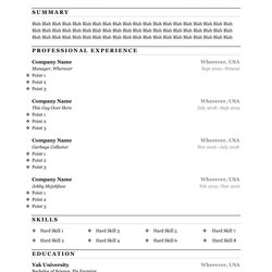 High Quality Resume Template File