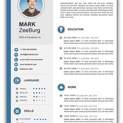 Magnificent Resume Word Doc Template Collection Examples Within Formats