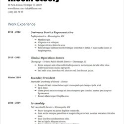 Cool Google Docs Resume Templates Template Steely Examples Put Work Layout Free