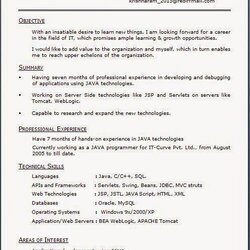 Worthy Official Resume Format