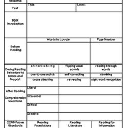 Brilliant Guided Reading Lesson Plan By The Climbing Grapevine Teachers Pay Template Common Core Area Plans