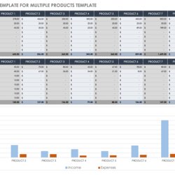 Free Small Business Budget Templates Budgets Template For Multiple Products