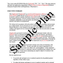 Superior Free Printable Business Plan Sample Form Generic Template Dispensary Format Proposal Examples
