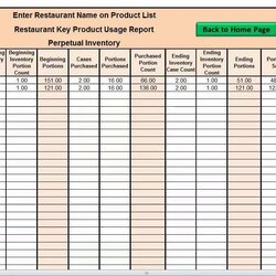 Out Of This World Neat Excel Stock Inventory Template With Formulas Layered Process Audit