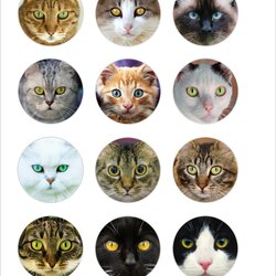 Preeminent Cat Eyes Printable Craft Circles Cats Eye Animal Images